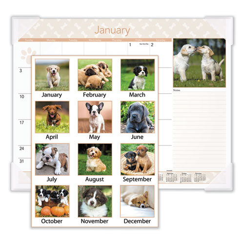 Puppies Monthly Desk Pad Calendar, 22 X 17, 2021