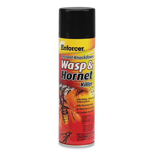 Wasp & Hornet Killer Iib, 16 Oz Aerosol Can