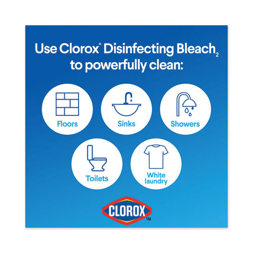 Regular Bleach With Cloromax Technology, 24 Oz Bottle, 12-carton