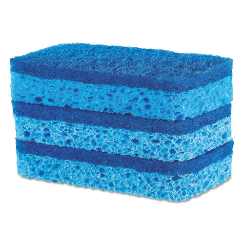 All Surface Scrubber Sponge, 2 1-2 X 4 1-2, 0.9" Thick, Blue, 3-pack, 8 Packs-ct