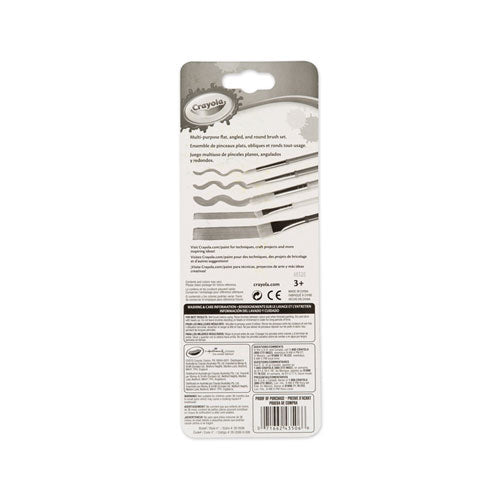 Arts And Craft Brush Set, Assorted Sizes, Natural Hair, Angled; Flat; Round, 5-set