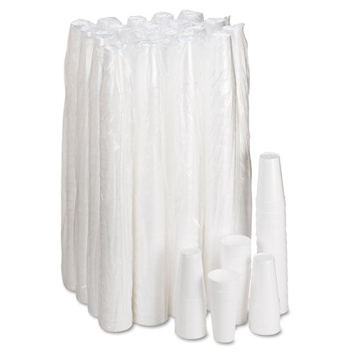 Foam Drink Cups, 20oz, 500-carton