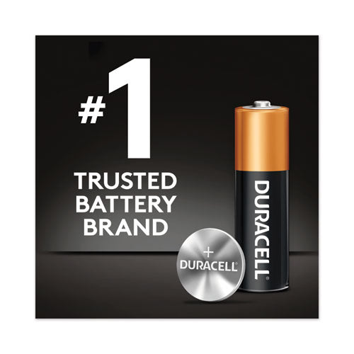 Coppertop Alkaline Aa Batteries, 12-pack
