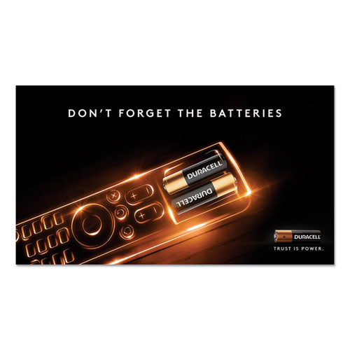 Coppertop Alkaline Aa Batteries, 12-pack