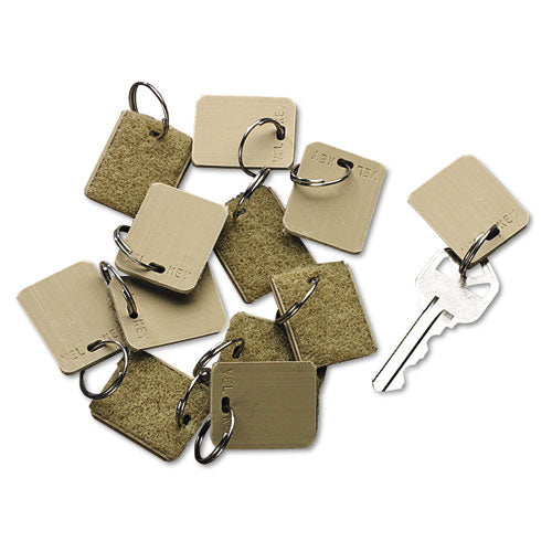 Extra Blank Hook & Loop Tags, Security-backed, 1 1-8 X 1, Beige, 12-pack