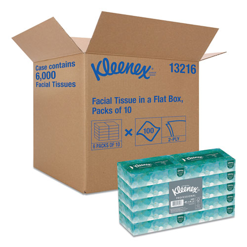 White Facial Tissue, 2-ply, White, 100 Sheets-box, 10 Boxes-bundle, 6 Bundles-carton