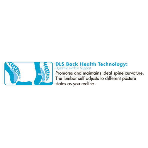 Commercial 2000 High-back Executive Chair With Dynamic Lumbar Support, Supports Up To 300 Lbs., Black Seat-back, Silver Base