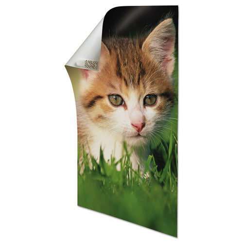 Poster Strips Value Pack, 5-8" X 1 3-4", White, 48-pack