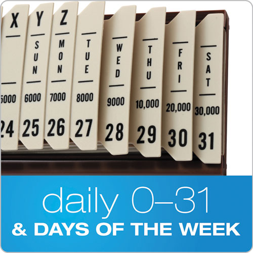 General Purpose Indexed Sorter, 31 Dividers, Alpha-numeric-months-dates-days, Letter-size, Brown Frame