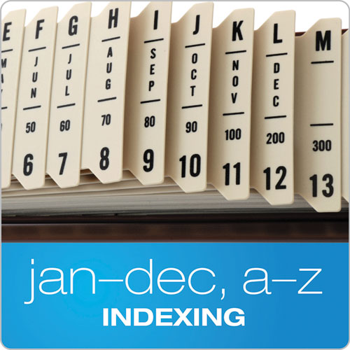 General Purpose Indexed Sorter, 31 Dividers, Alpha-numeric-months-dates-days, Letter-size, Brown Frame