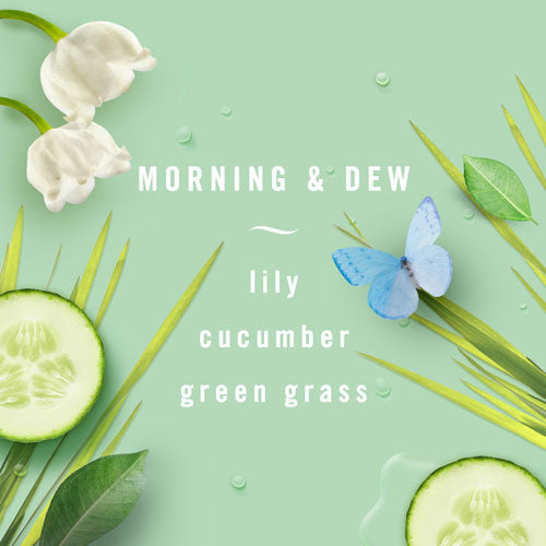 Air, Morning And Dew, Formerly Meadows And Rain, 8.8 Oz Aerosol, 6-carton