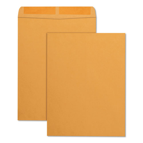 Catalog Envelope, #13 1-2, Cheese Blade Flap, Gummed Closure, 10 X 13, Brown Kraft, 250-box
