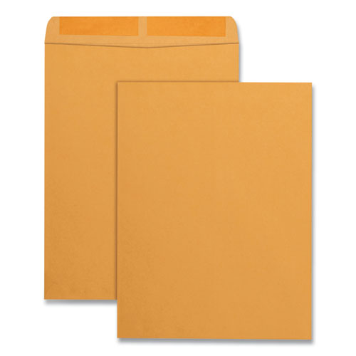 Catalog Envelope, #13 1-2, Cheese Blade Flap, Gummed Closure, 10 X 13, Brown Kraft, 100-box