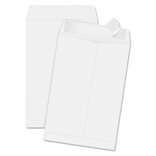 Redi-strip Catalog Envelope, #1 3-4, Cheese Blade Flap, Redi-strip Closure, 6.5 X 9.5, White, 100-box