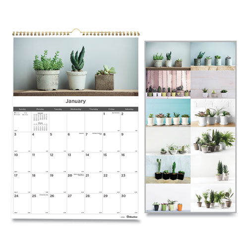 12-month Wall Calendar, 12 X 17, Succulent Plants, 2021