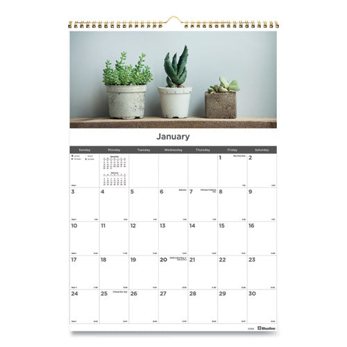 12-month Wall Calendar, 12 X 17, Succulent Plants, 2021