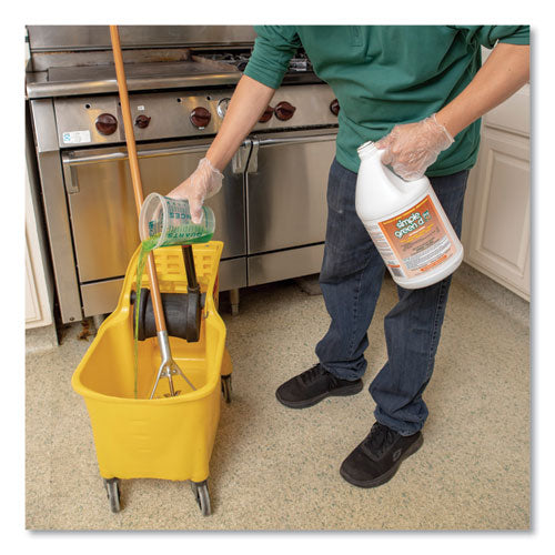 D Pro 3 Plus Antibacterial Concentrate, Herbal, 1 Gal Bottle, 6-carton