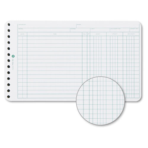 Extra Sheets For Six-ring Ledger Binder, 100-pack