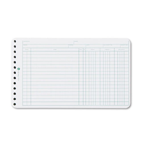 Extra Sheets For Six-ring Ledger Binder, 100-pack