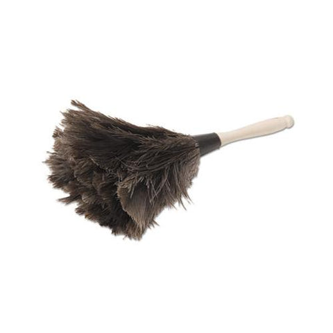 Professional Ostrich Feather Duster, 4" Handle