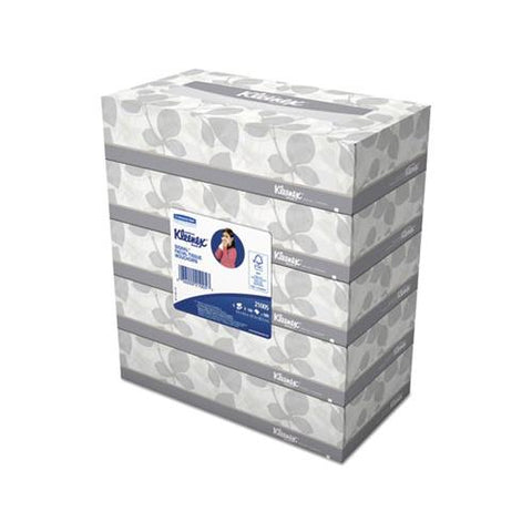 White Facial Tissue, 2-ply, 100 Sheets-box, 5 Boxes-pack, 6 Packs-carton