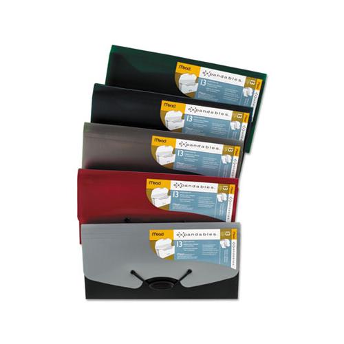 Expandables Expanding File For Checks, 13 Sections, 1-13-cut Tab, Randomly Assorted