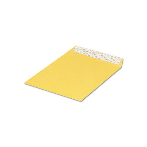 Redi-strip Catalog Envelope, #13 1-2, Cheese Blade Flap, Redi-strip Closure, 10 X 13, Brown Kraft, 100-box